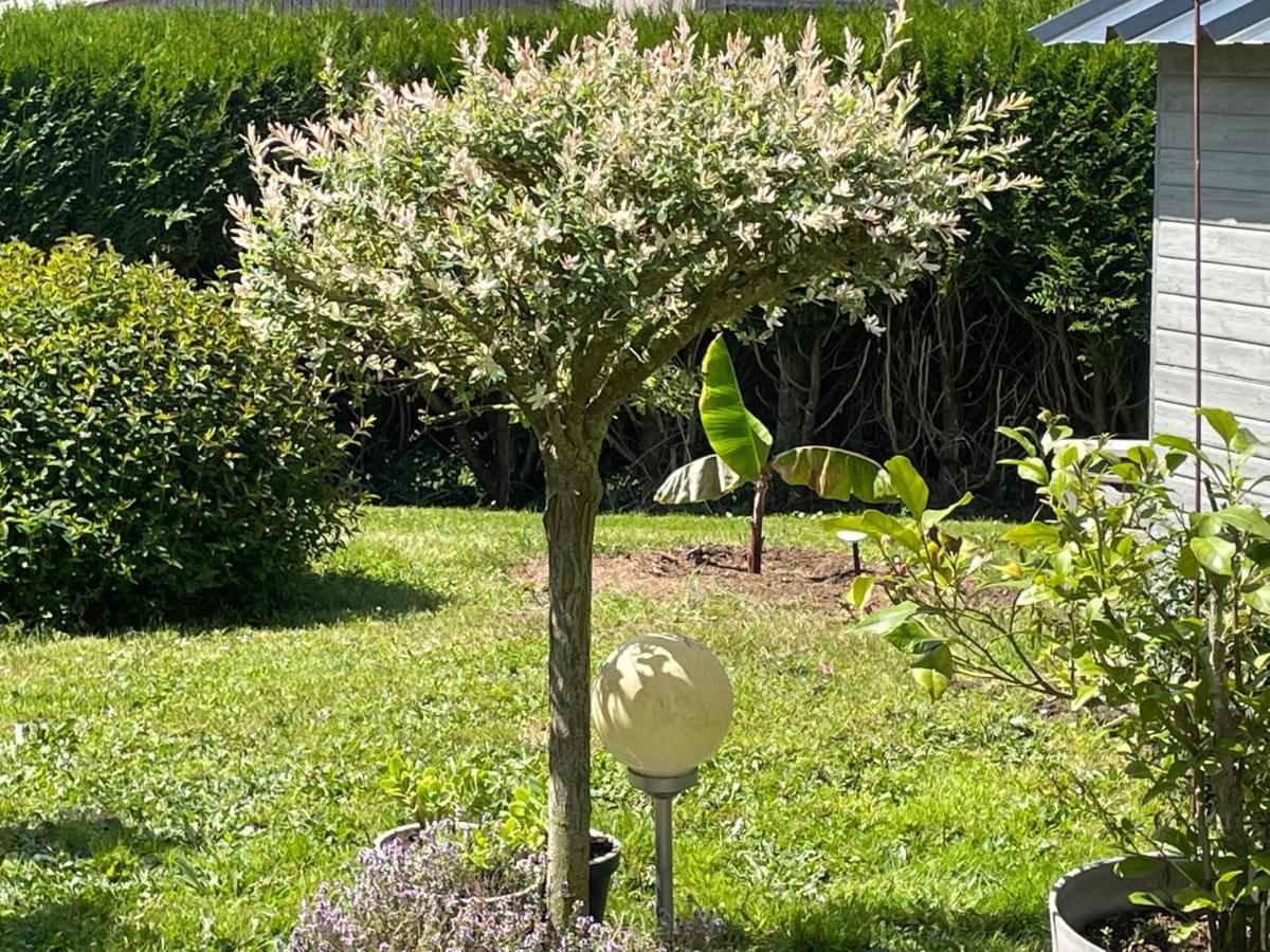 Bed and Breakfast Le Doux Refuge Esquay-sur-Seulles Exterior foto